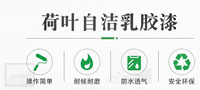 荷叶漆