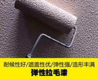 弹性拉毛漆