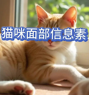 è�䰲�������䷽