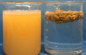 �������������������䷽