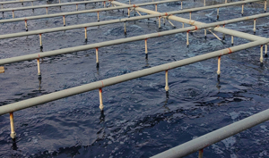 ��ˮ��ɫ���䷽