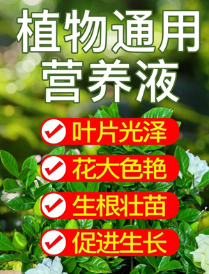 ͨ����ֲ��Ũ��Ӫ��Һ